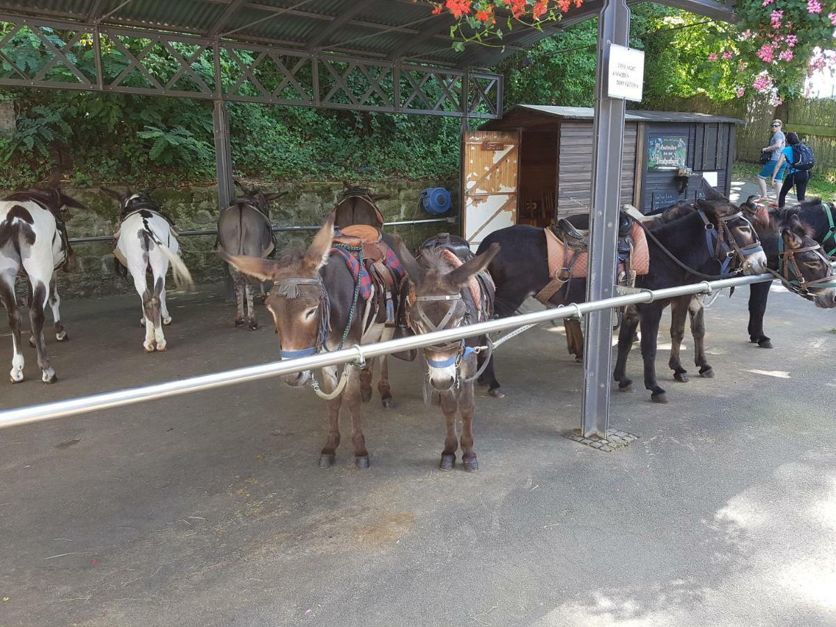 Ferienhaus Mueller Unkel Kültér fotó